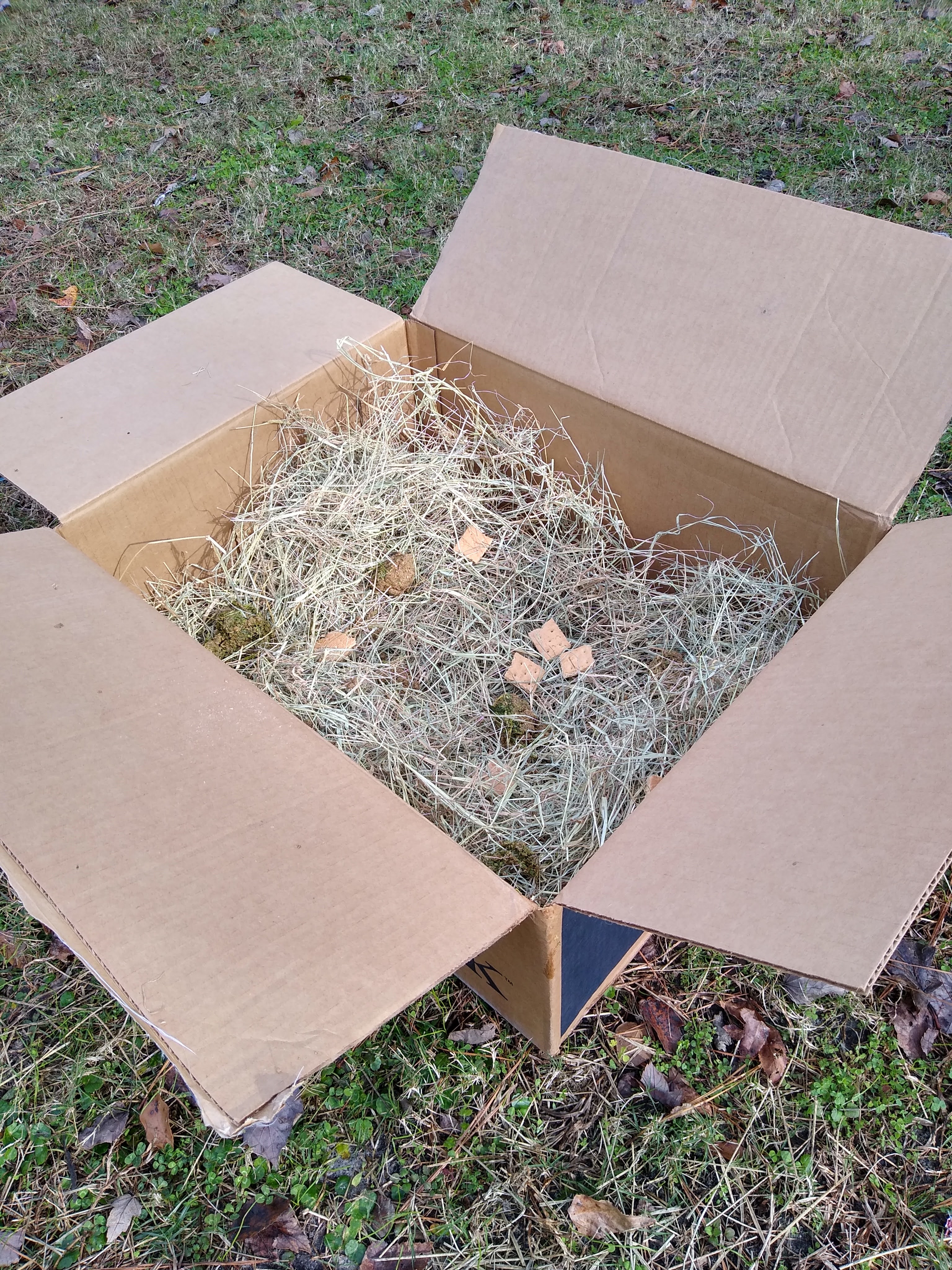 A completed cardboard forage box for horses with hay and crackers inside.