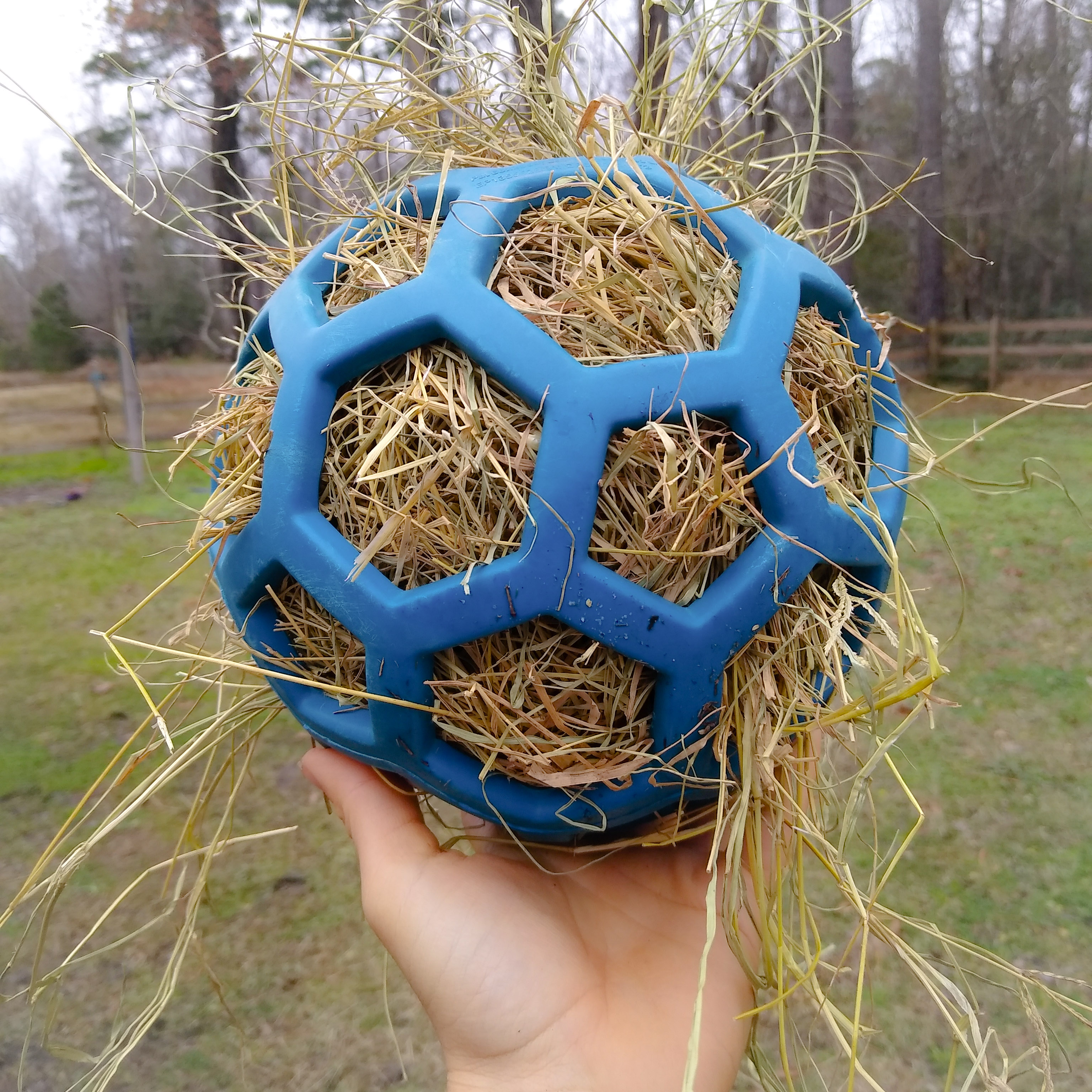 A webby ball enrichment filled with hay and carrots for horses.