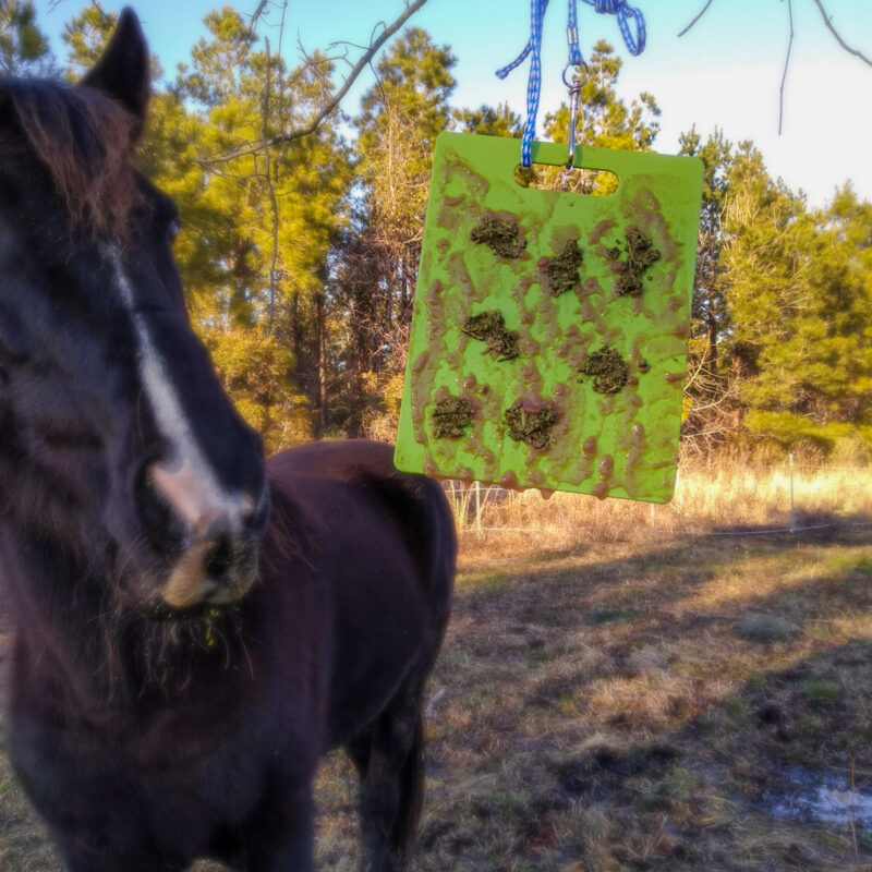 A hanging licking mat, a non frustrating toy for horses. 