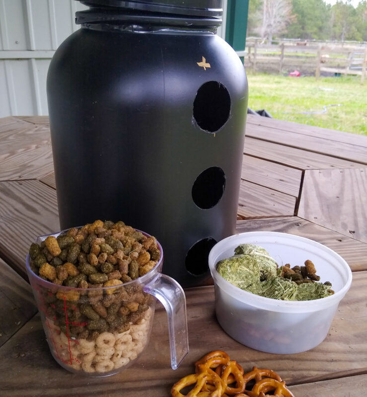 DIY horse hay ball and treat ball with cups of horse feed, hay cubes, and pretzel treats.