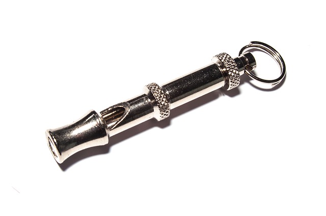 A horse trainer's metal whistle.