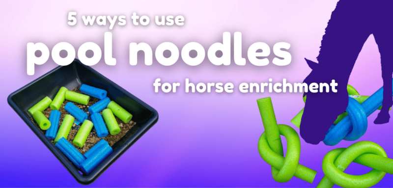 Header image with lavender background and white text. To left, pool noodle puzzle box. To right, horse noses through pile of pool noodle knots. Text reads, 5 Ways to Use Pool Noodles for Horse Enrichment