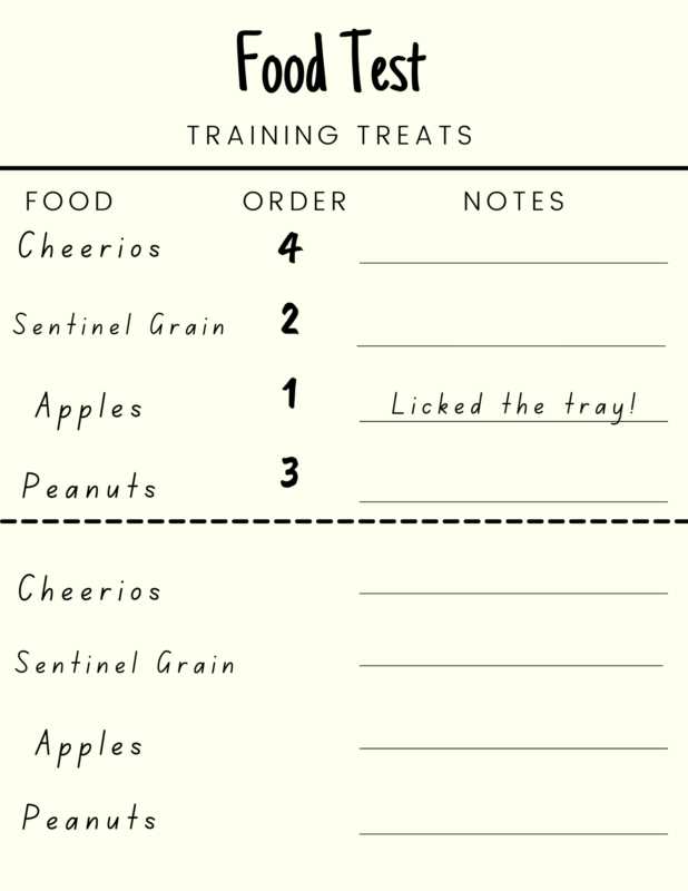 Results of a horse food preference test, Apples were the horse's favorite food, followed by grain, peanuts, and Cheerios.