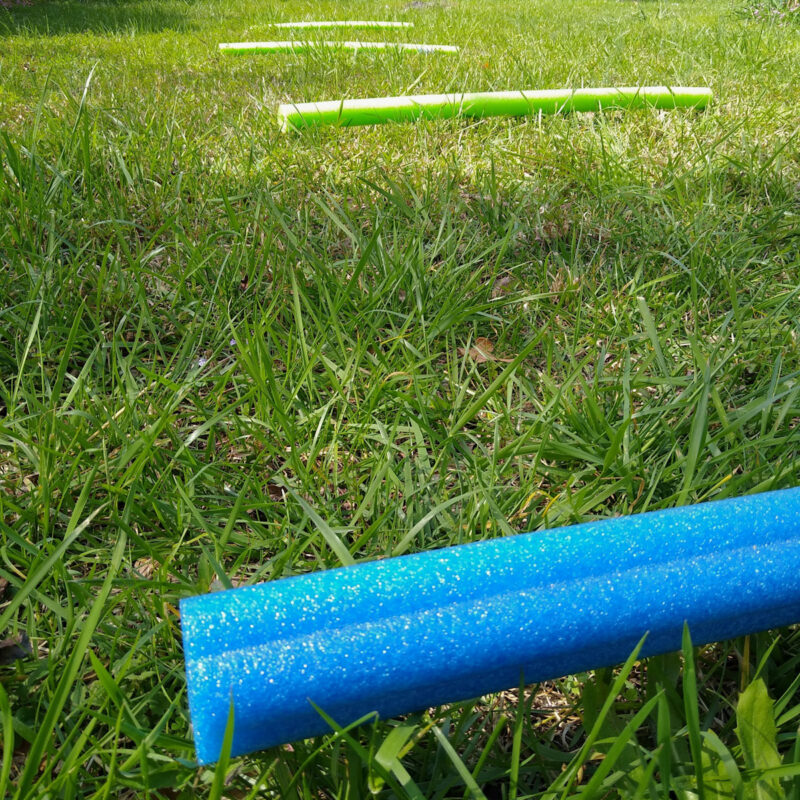 A series of pool noodles laid out on a grass horse pasture.