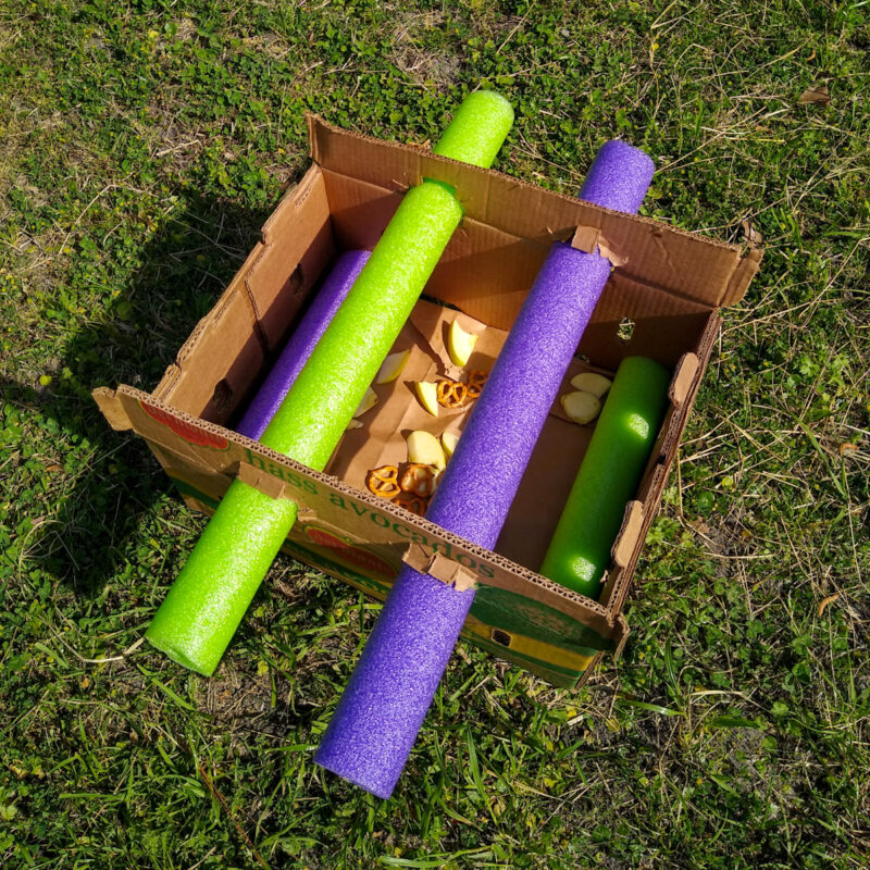 A pool noodle puzzle box toy for horses made from cardboard box and purple and green pool noodles.