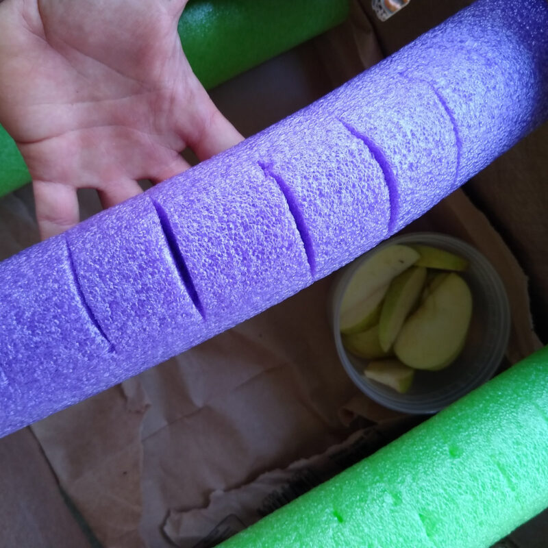 Purple pool noodle in hand showing flex cuts along noodle length.