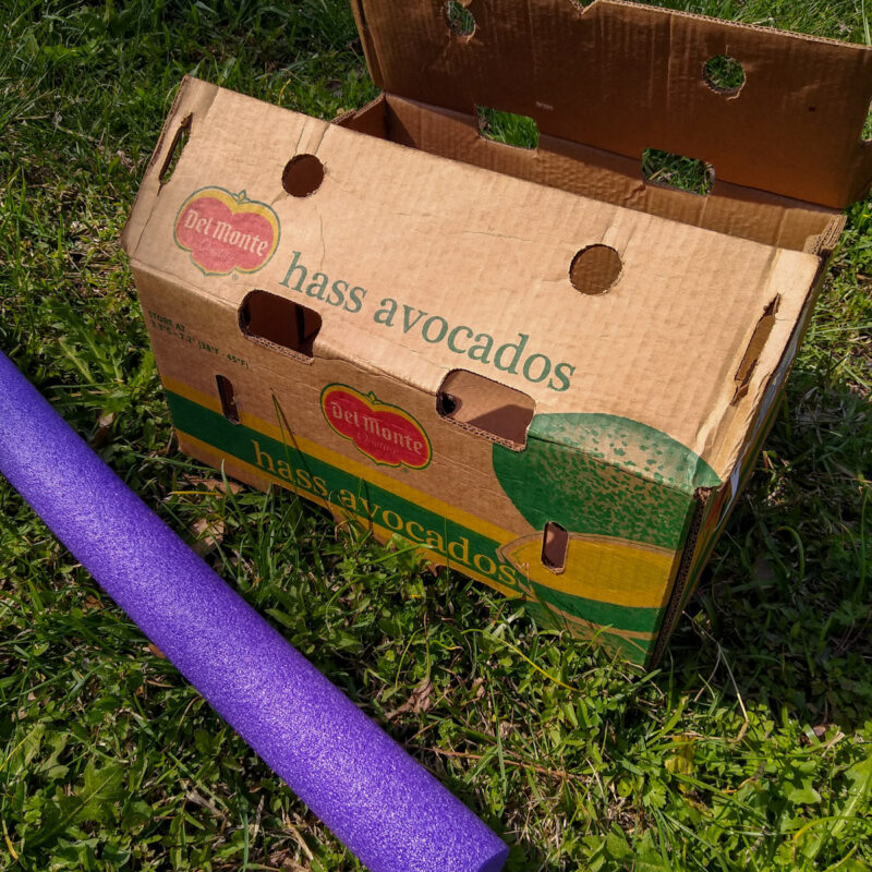 A cardboard avocado shipping box and a purple pool noodle.