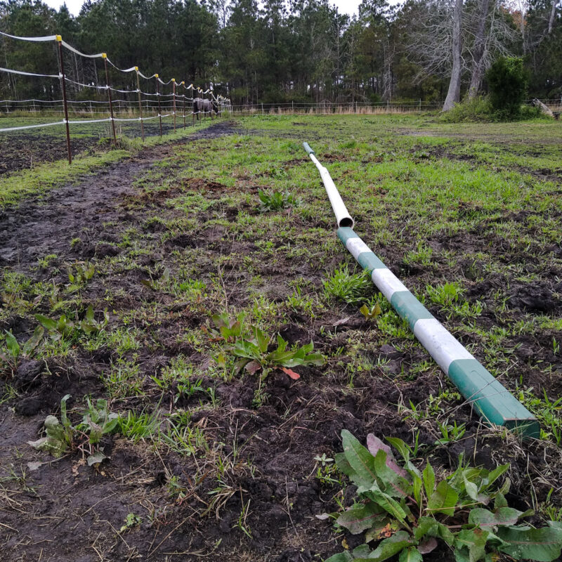 Pasture poles laid parallel to an electric fence
