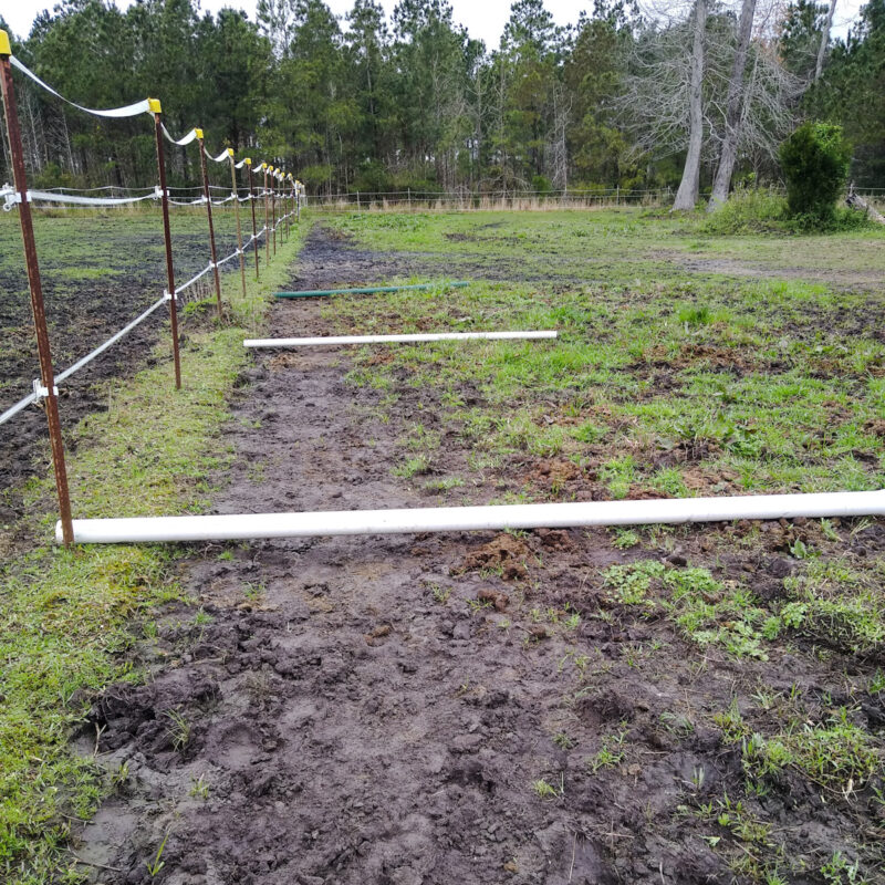 Pasture poles laid out perpendicular to an electric fence