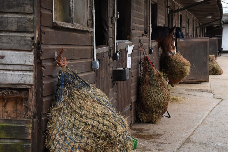 A row of hay nets hanging outside a stable.