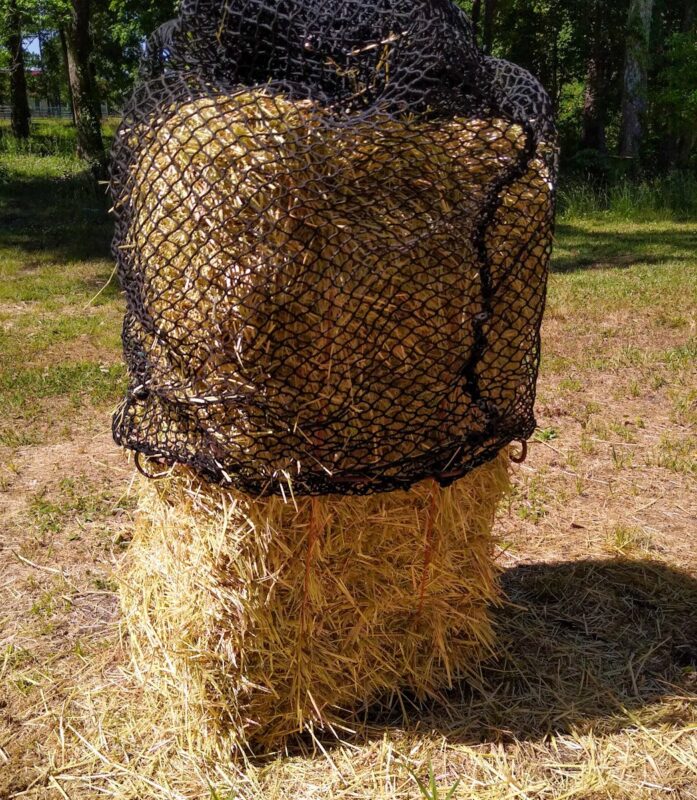 Filling a hay net for horses with an entire square bale of hay.