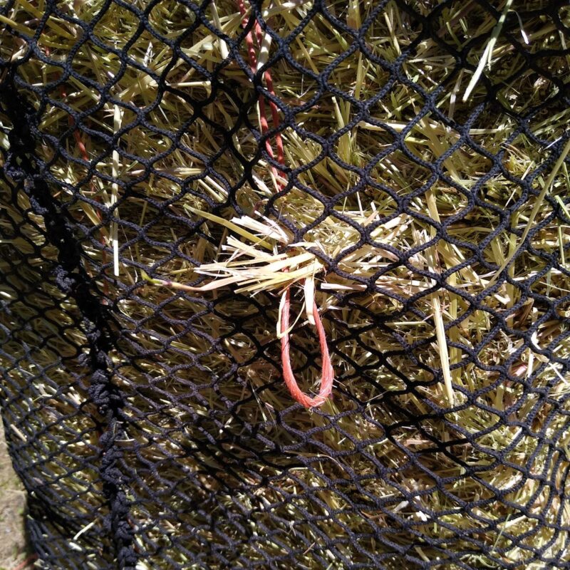 A piece of baling twine in a horse's hay net.
