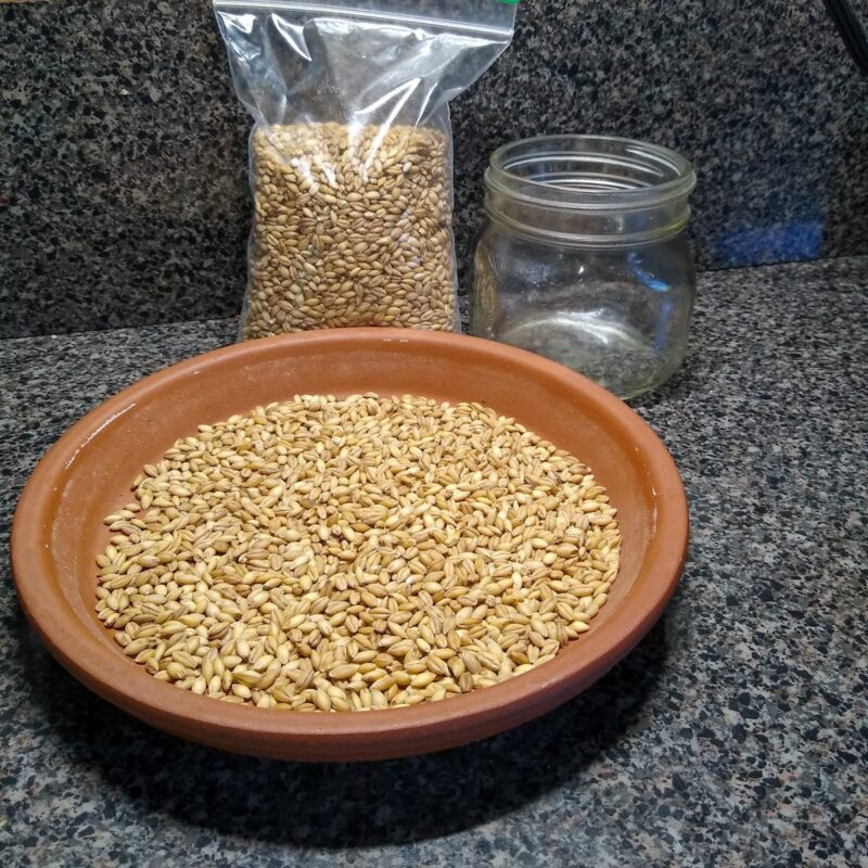 In foreground, a terracotta saucer of oats. In background, bag of oats and glass jar.