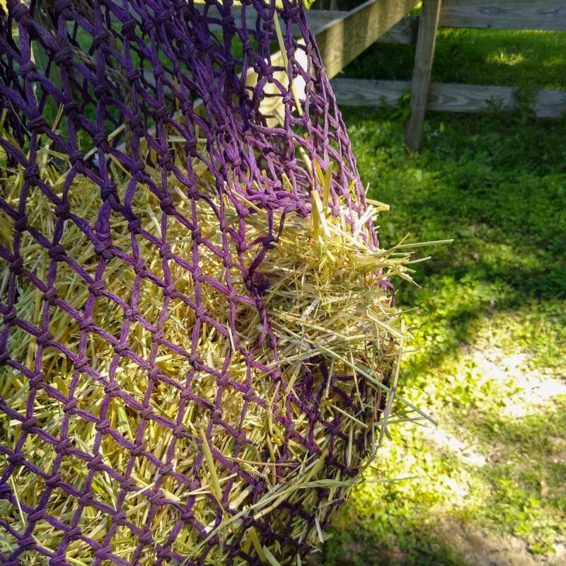 A hay net with a hole. When hay nets get holes, they should be repaired quickly so that horses do not learn to destroy nets.