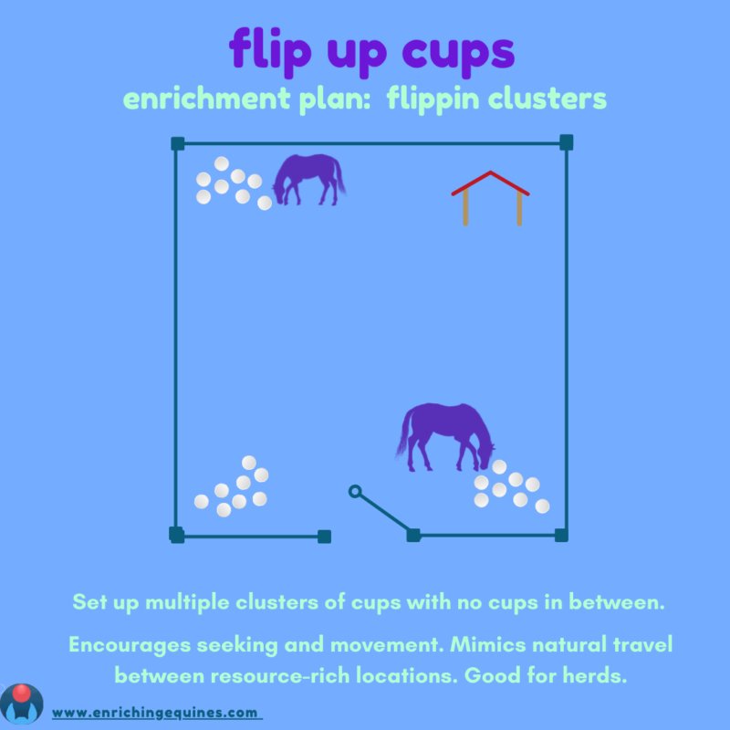 Blue infographic. Purple and teal text reads Flip Up Cups Enrichment Plan: Flippin Clusters. Set multiple clusters of cups with no cups between. Encourages seeking and movement. Mimics natural travel between resource-rich locations. Good for herds.  Two silhouetted horses use the horse food puzzle in the middle.