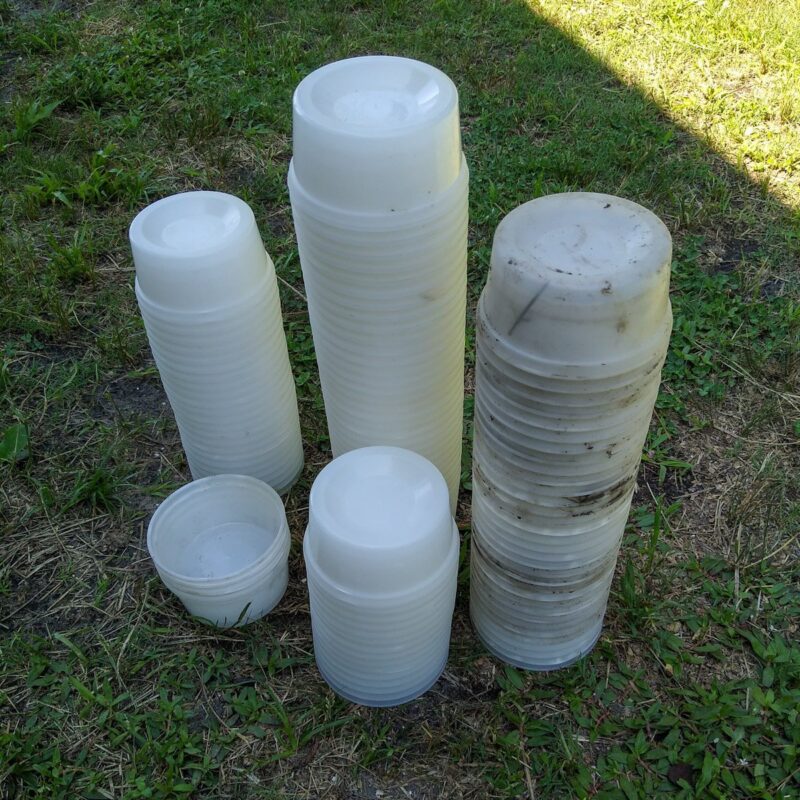 Several stacks of plastic deli cups on green grass. 