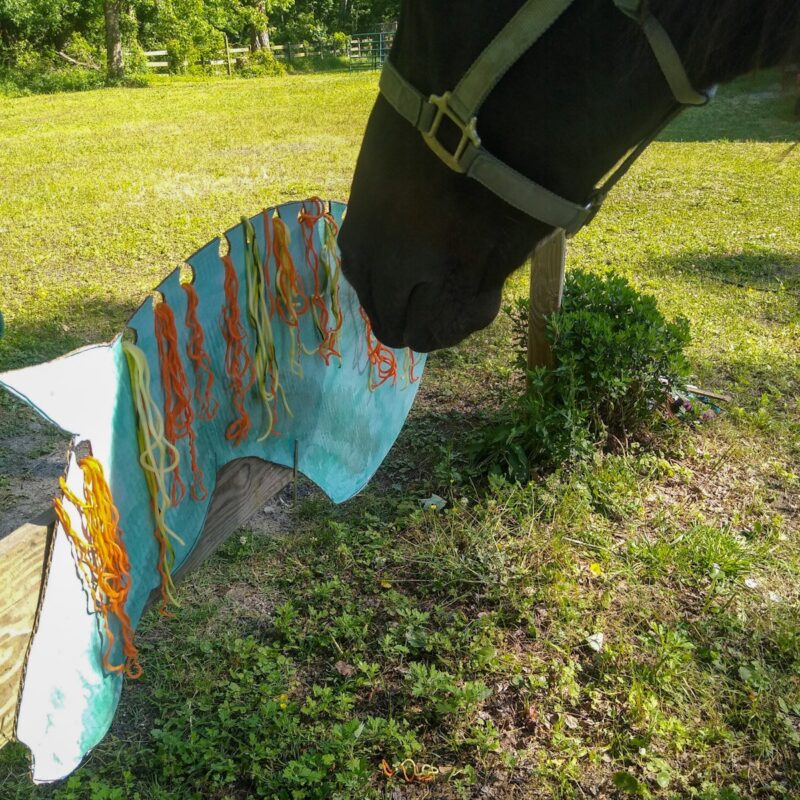 A horse using the DIY treat board toy for enrichment on a grassy background.