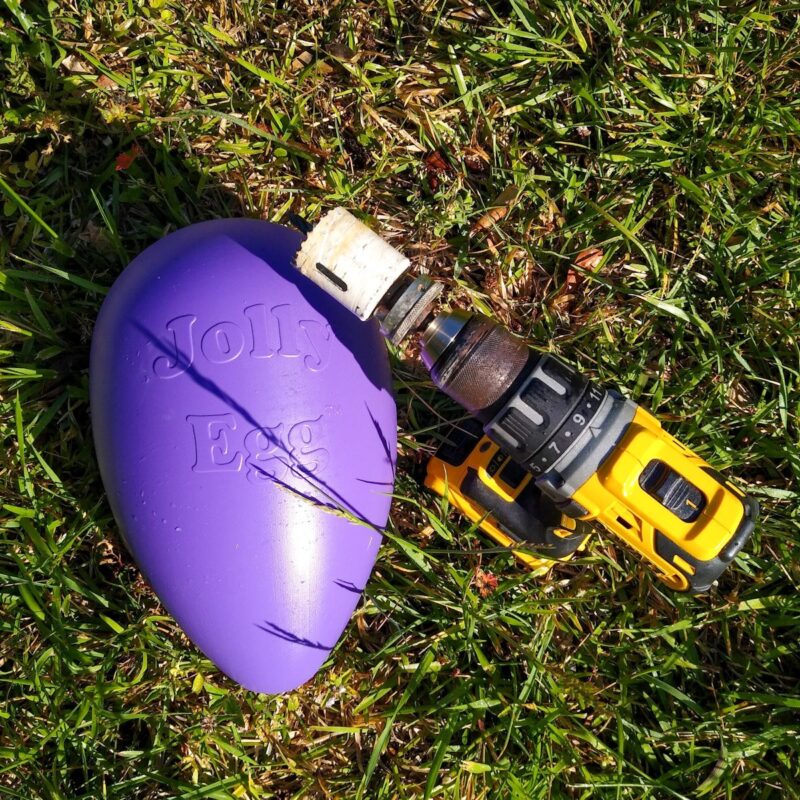 A purple Jolly Egg and yellow Dewalt drill with hole saw attachment.