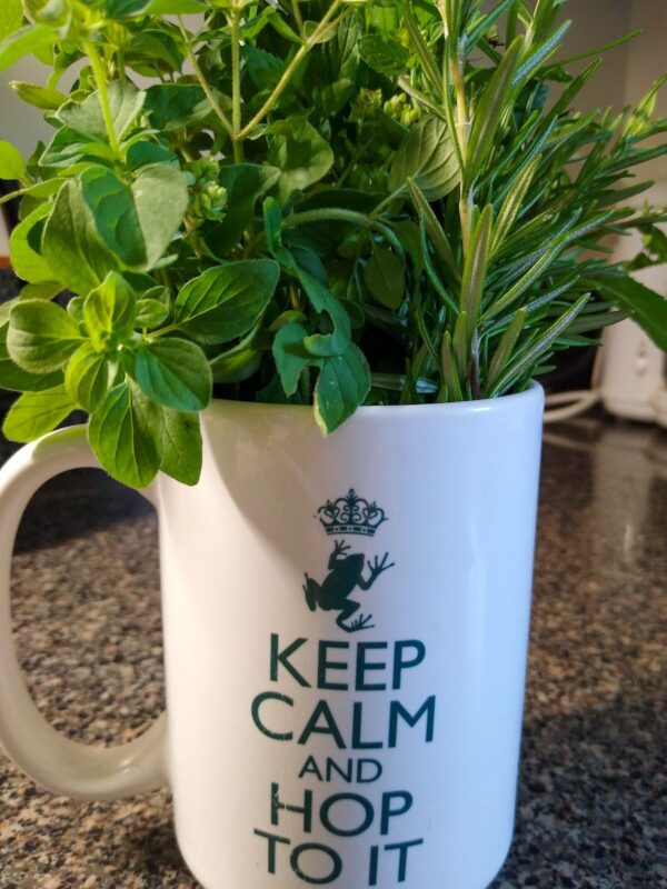 Fresh herbs in a mug ready to go into the horse browse board enrichment.