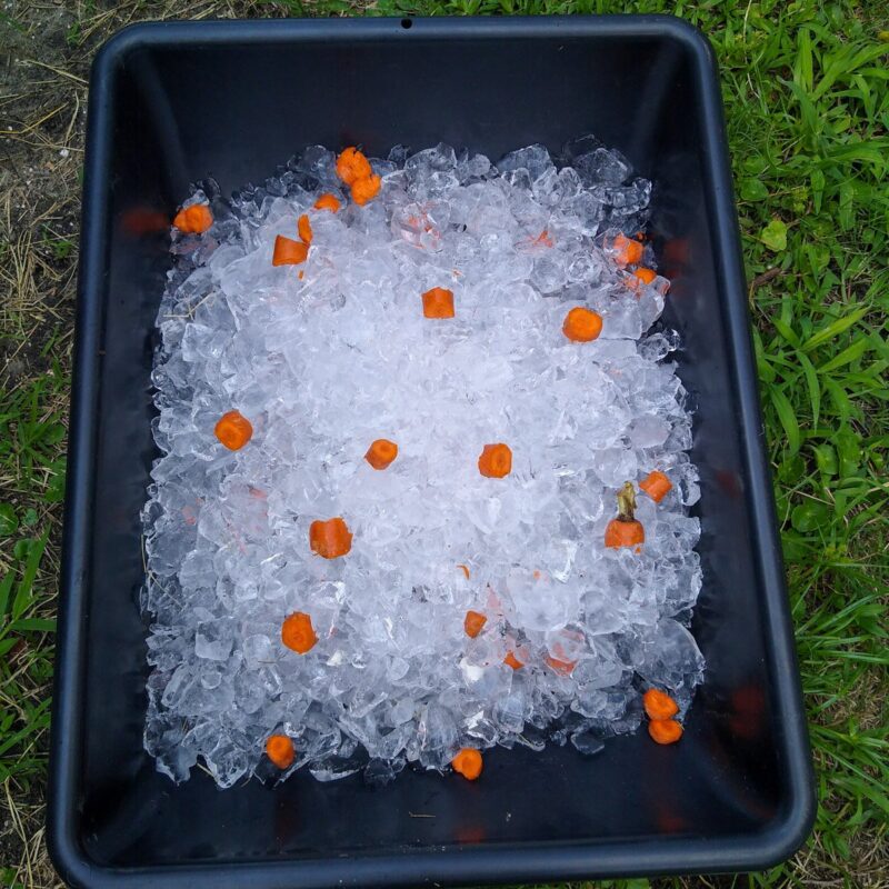 Hay - Ice cube maker