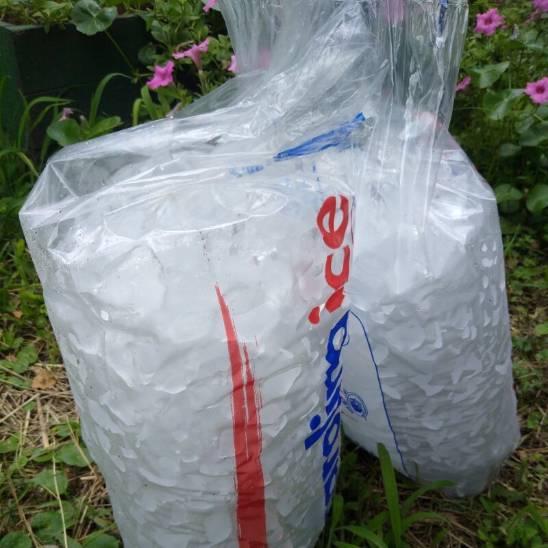 Two 10 lb bags of ice cubes.