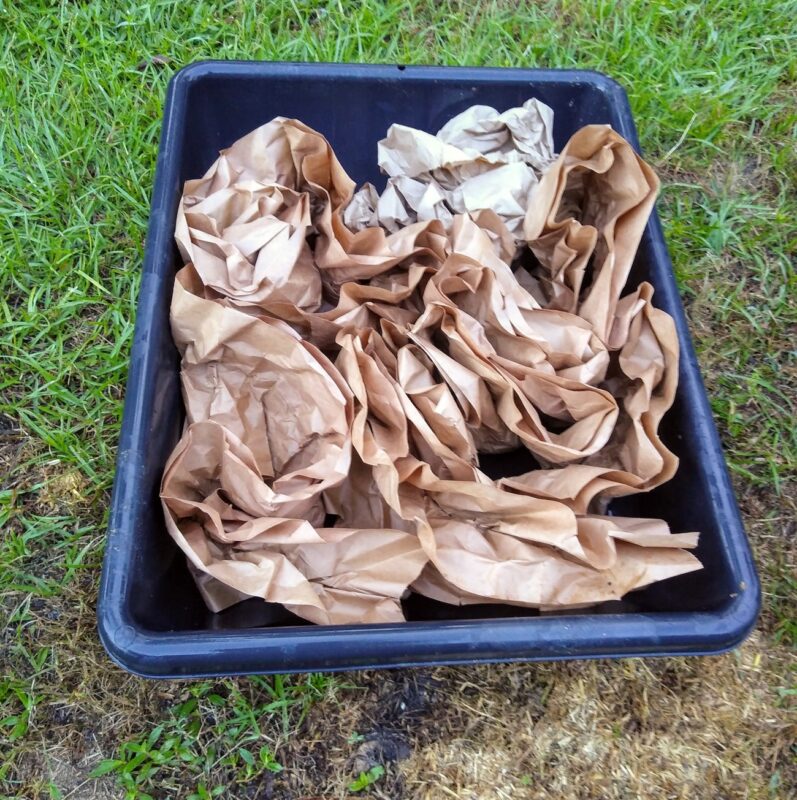 A plastic tray filled with crinkly paper, a toy that some horses may be scared of