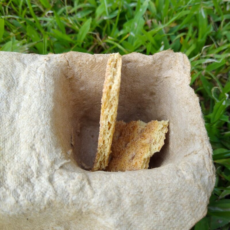 Close up of a corner crevice in the cardboard horse toy with a graham cracker sticking out.