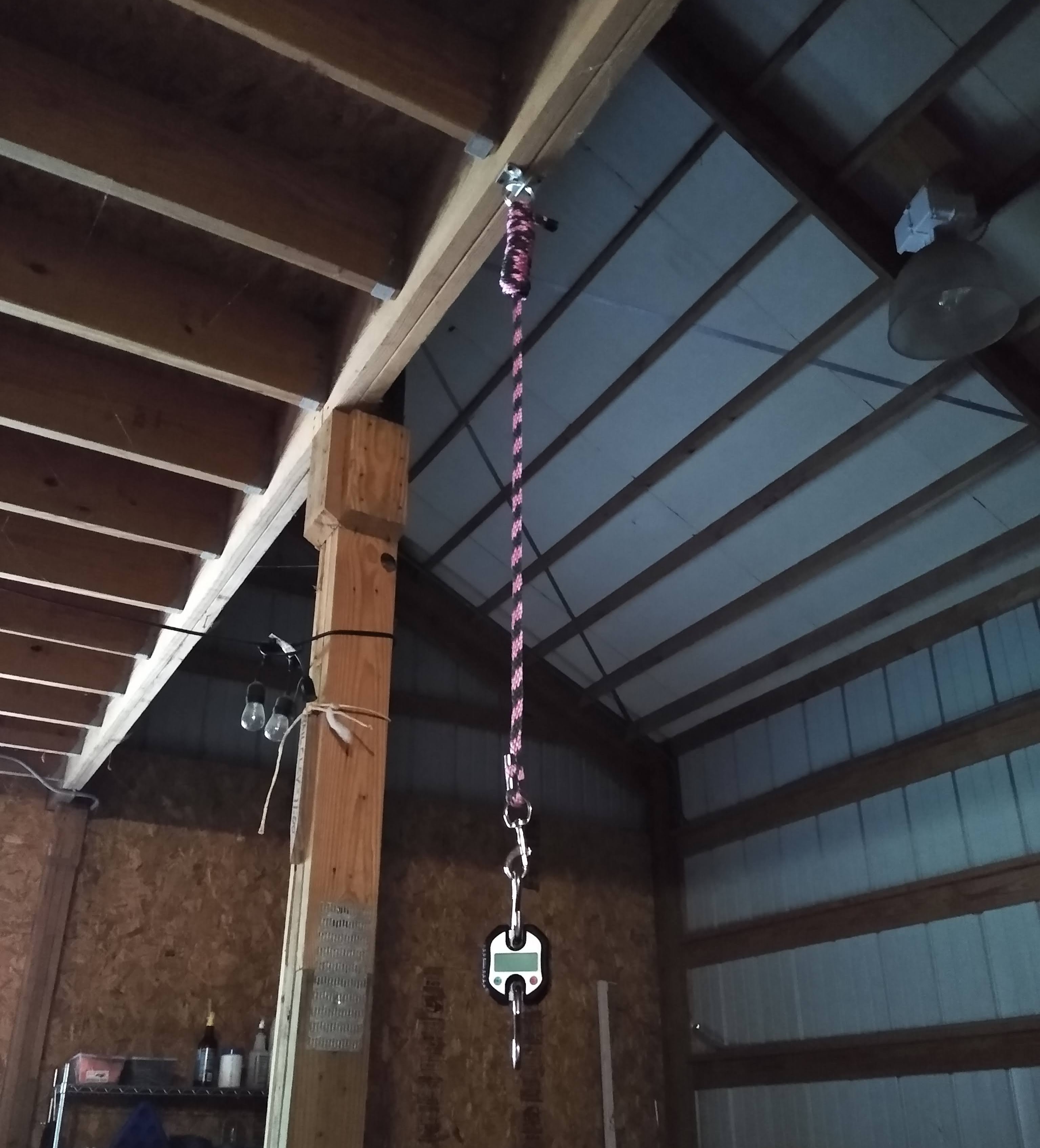 A horse hay scale in a barn hanging from a wooden rafter.