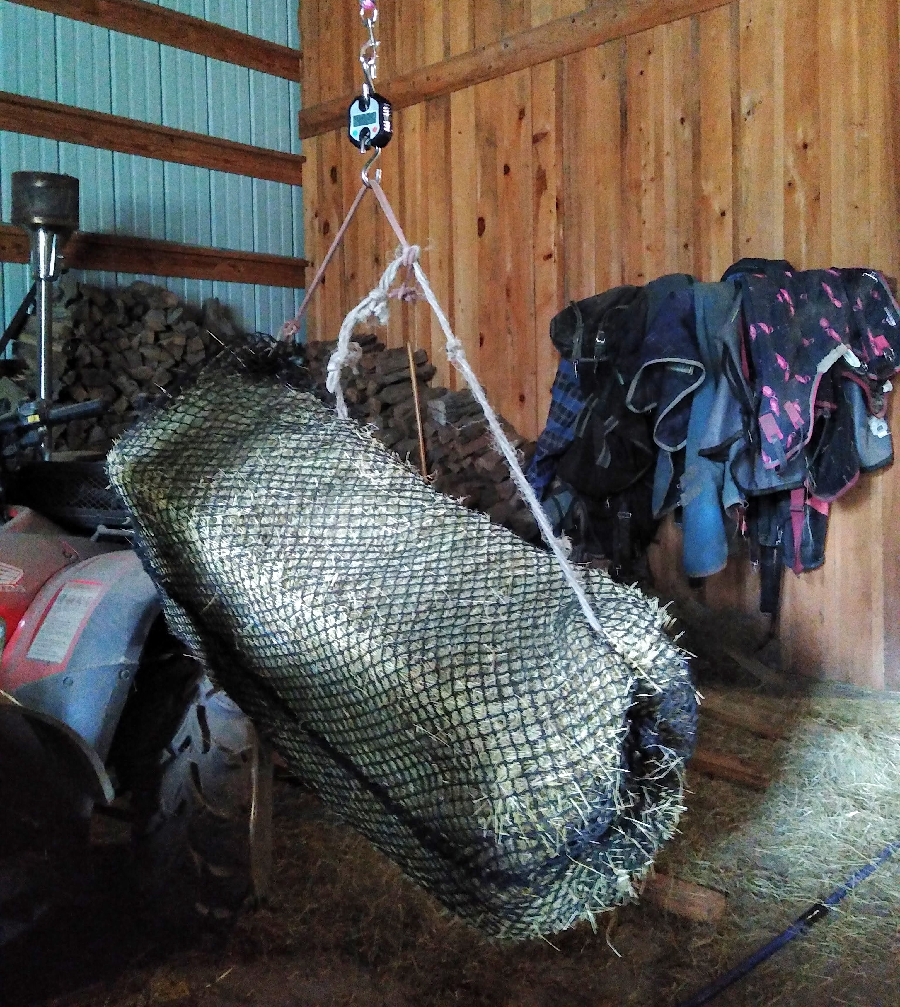 A horse hay scale weighing a full square bale of hay inside a black hay net. 