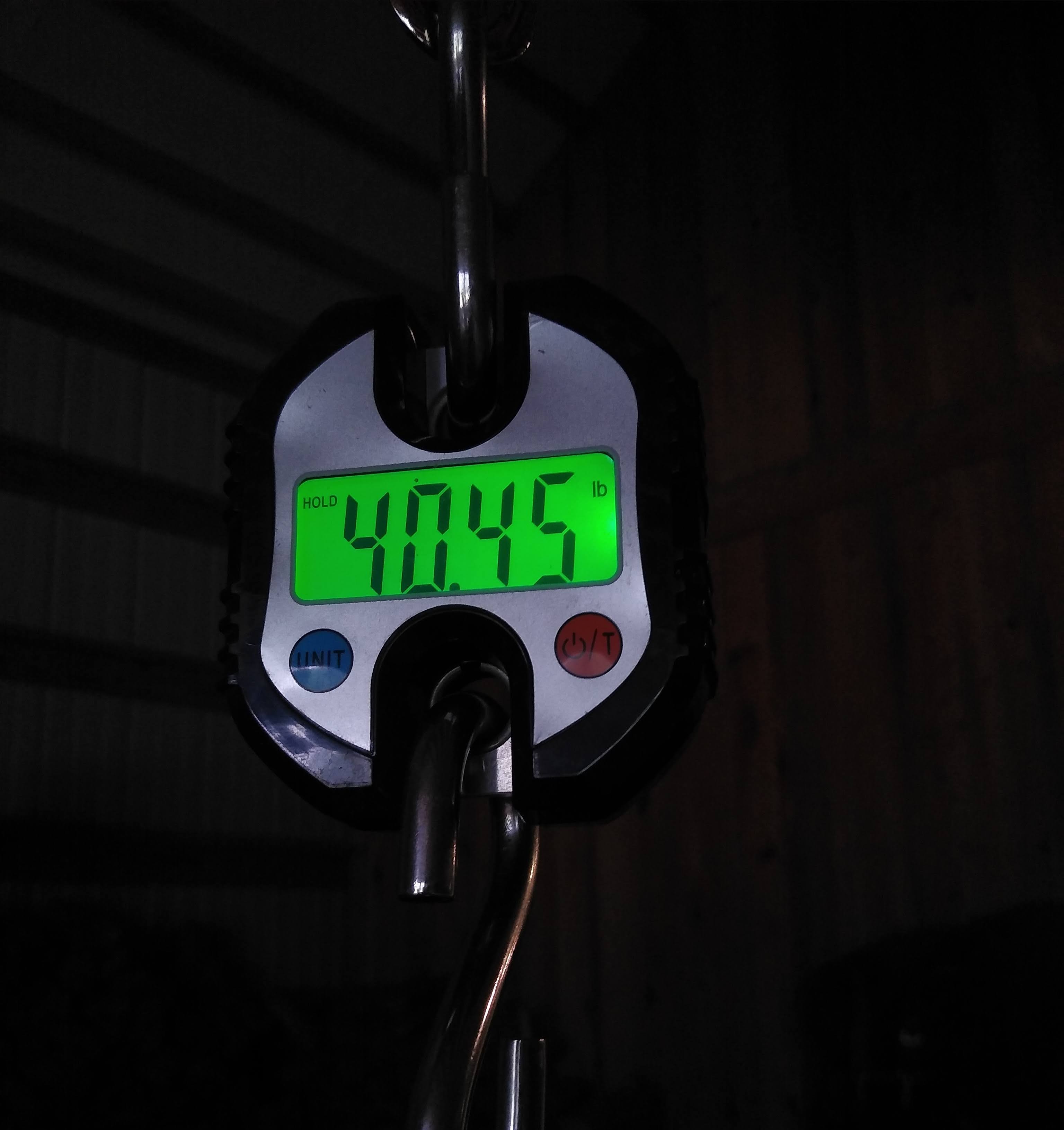 A horse hay scale with lighted green display in a dark barn. The scale display reads 40.45 pounds.