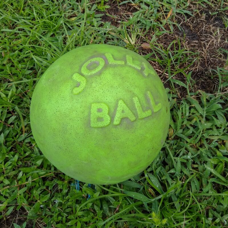 A scuffy and dusty green Jolly Pets Jolly Ball.