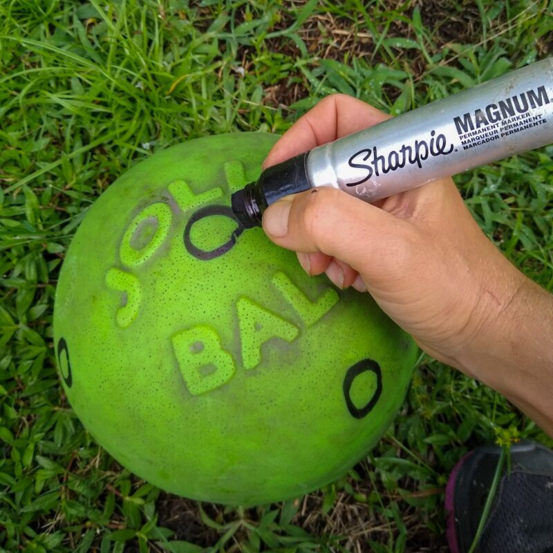 A hand holding large Sharpie draws circles on a green Jolly Ball for horses to mark locations for holes.