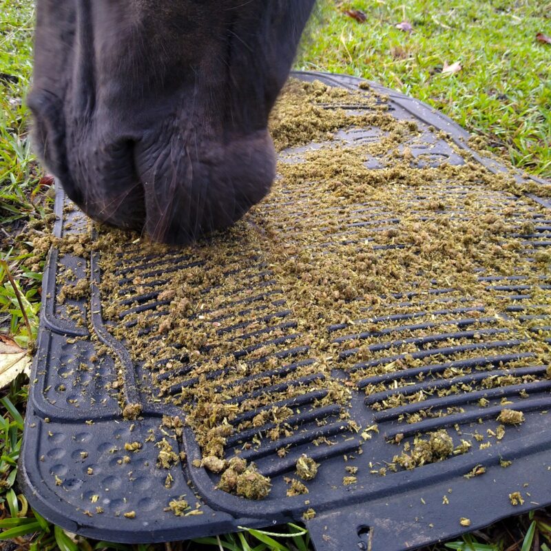 A rubber car or truck floor mat on the ground, covered in horse feed, with horse nose eating from the mat. This is a slow feeder mat for horses.