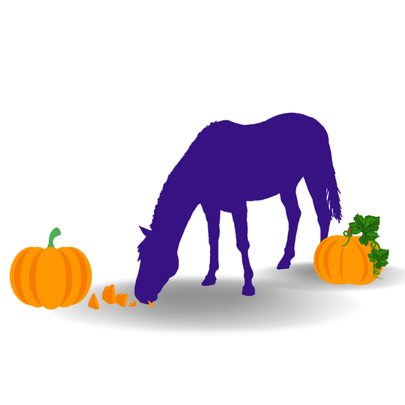 A purple horse silhouette eating chunks of pumpkin as horse enrichment. Two orange pumpkins on either side of the horse.