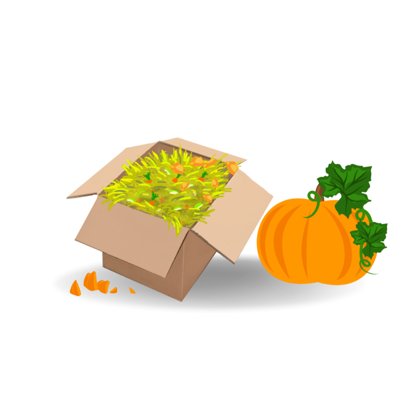 A cardboard box with hay and pieces of pumpkin ready for a horse to enjoy as a forage enrichment box. A whole orange pumpkin rests next to the box for decoration.