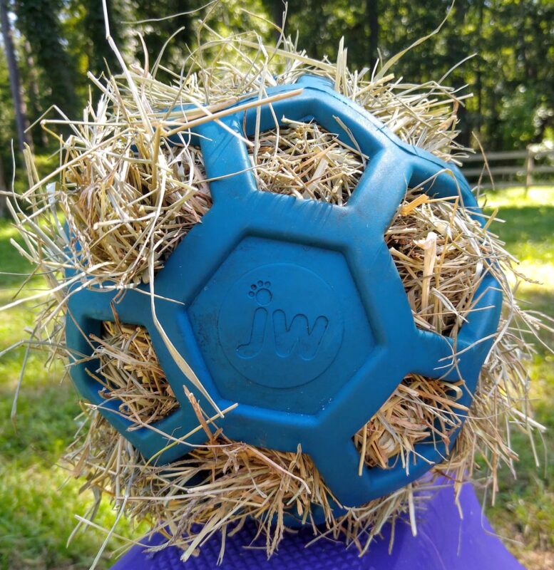 A blue JW Pets Hol-ee Roller ball toy for horses, filled with hay.