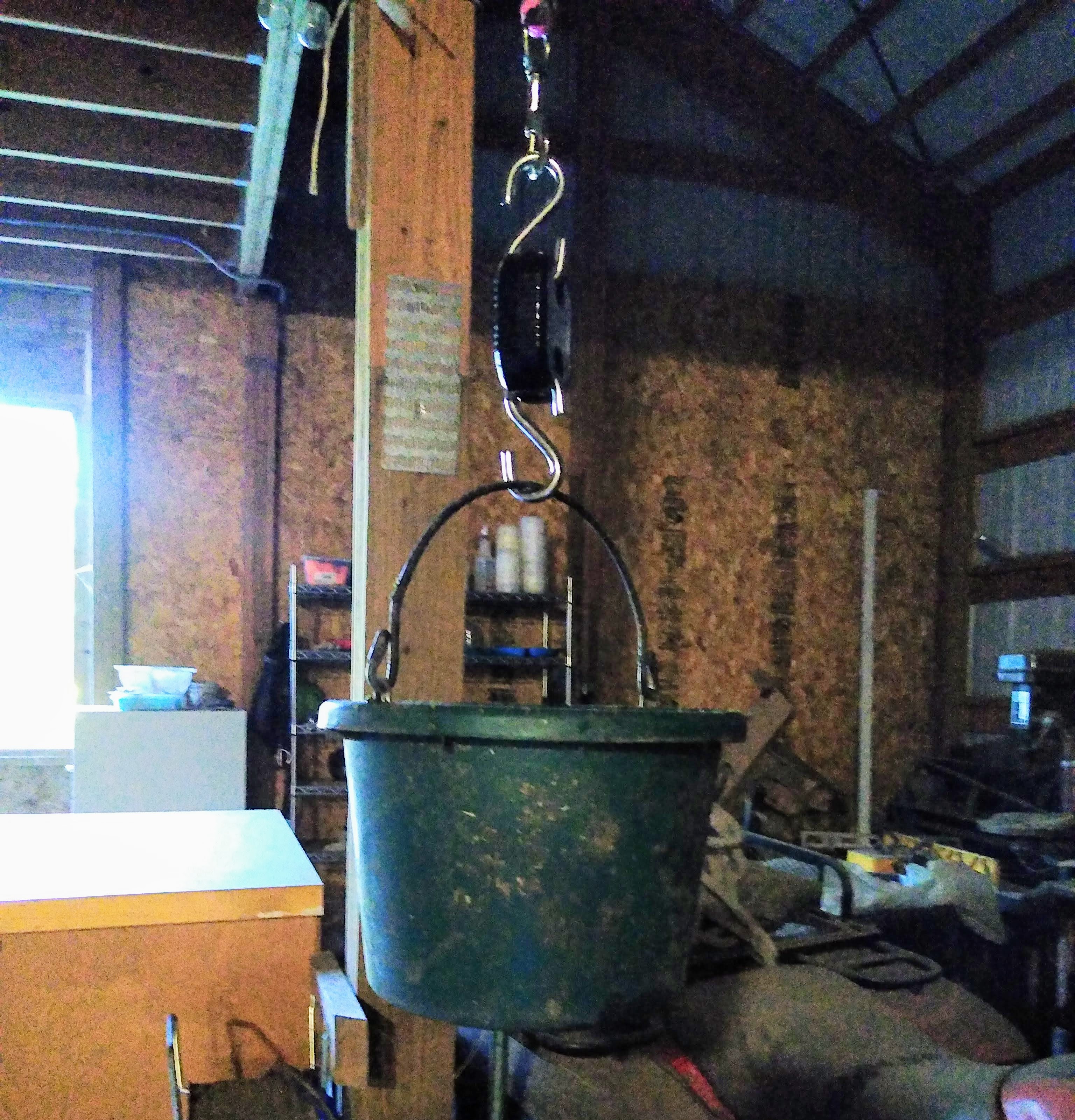 A bucket of horse feed hanging from a scale.