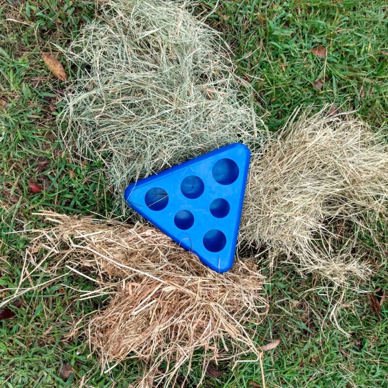 The plastic toy surrounded by handfuls of hay.