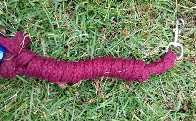 The maroon cotton lead rope close up with excess rope wrapped around itself.