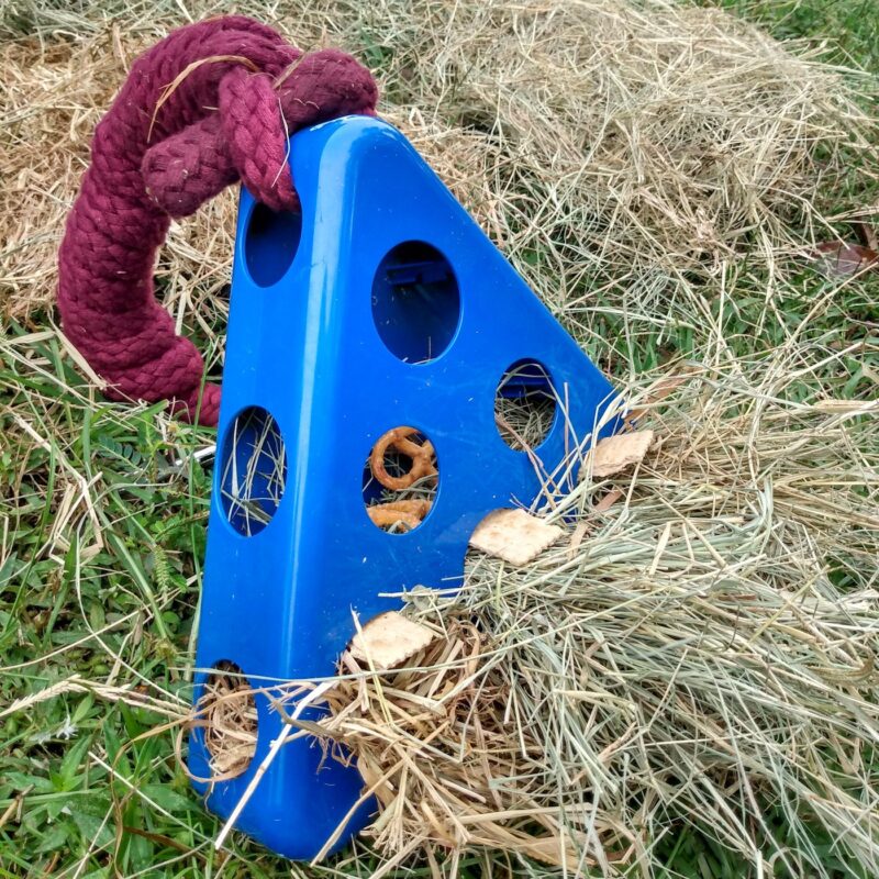 The DIY swinging hay toy for horses, with bottom level filled with hay. A saltine cracker is in each hole of the toy.