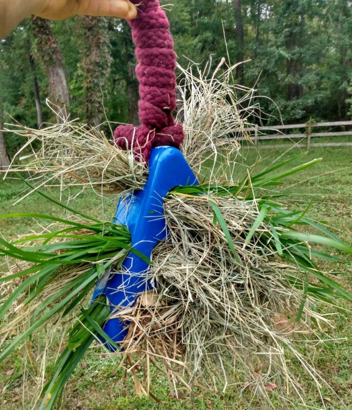 The DIY swinging hay toy full of hay and fresh green grass, close up, hanging from maroon lead rope.