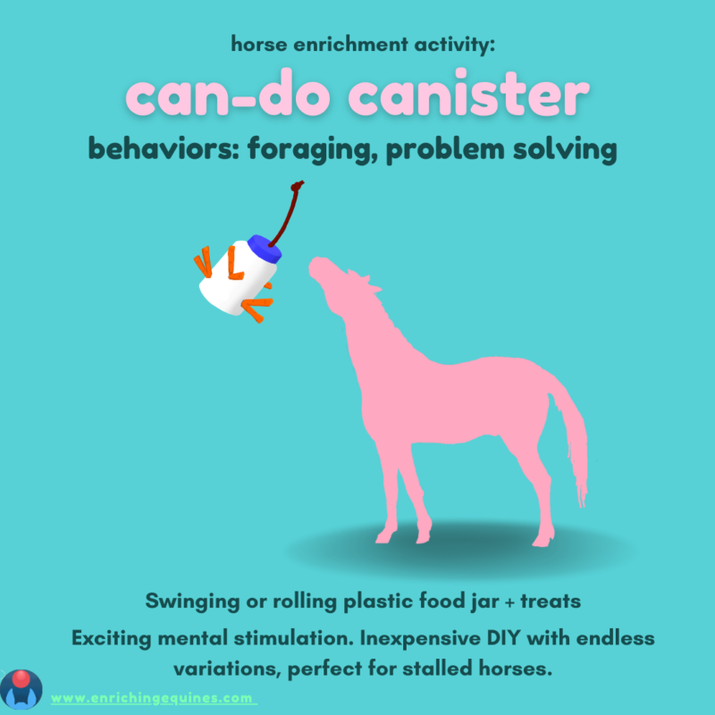 Graphic, teal background with pink and dark teal text. In center, a pink horse silhouette plays with a jar toy. Graphic reads "Horse Enrichment Activity: Can Do Canister. Behaviors: Foraging, problem solving."  Beneath horse silhouette graphic reads, "Swinging or rolling plastic food jar + treats. Exciting mental stimulation. Inexpensive DIY with endless variations, perfect for stalled horses."