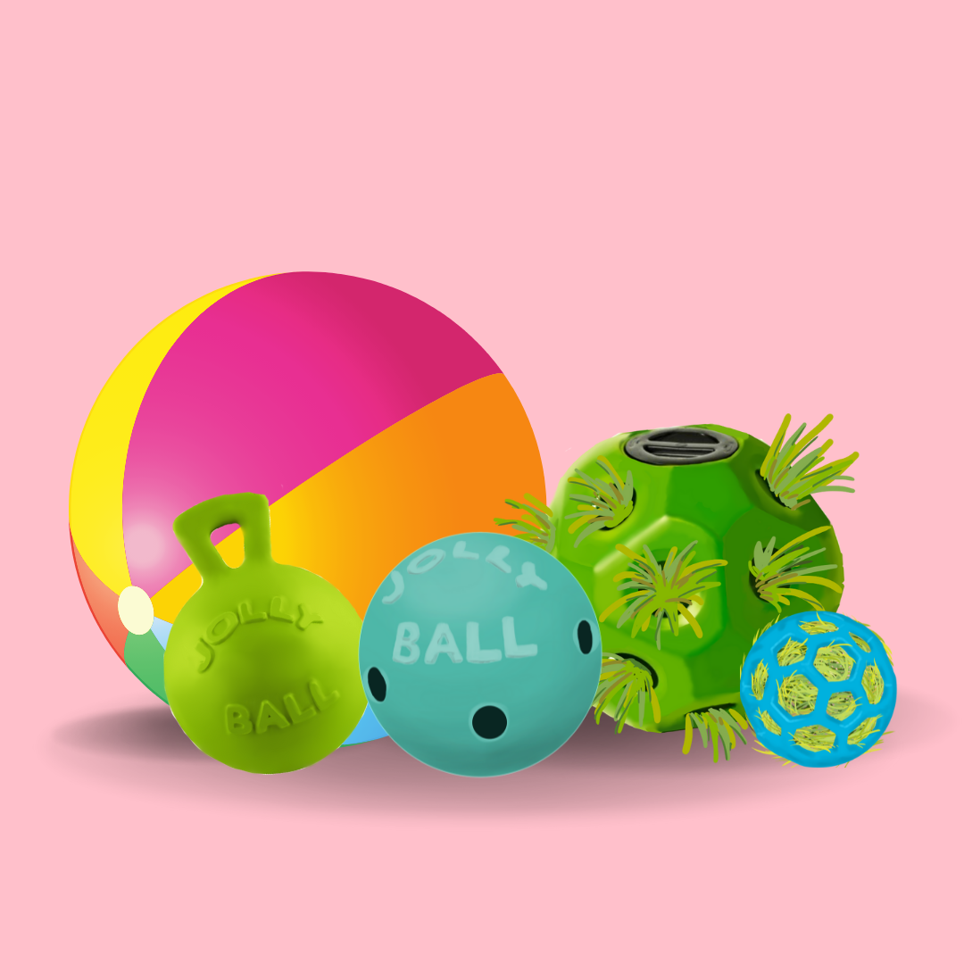 PUSH-N-PLAY, Hard Plastic Toy Ball, For Dogs and Horses