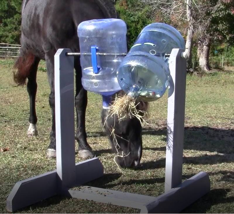 The spin the bottle horse toy with two large water bottles on a gray frame in the foreground. A black horse eats treats from the toy on the ground behind the frame.