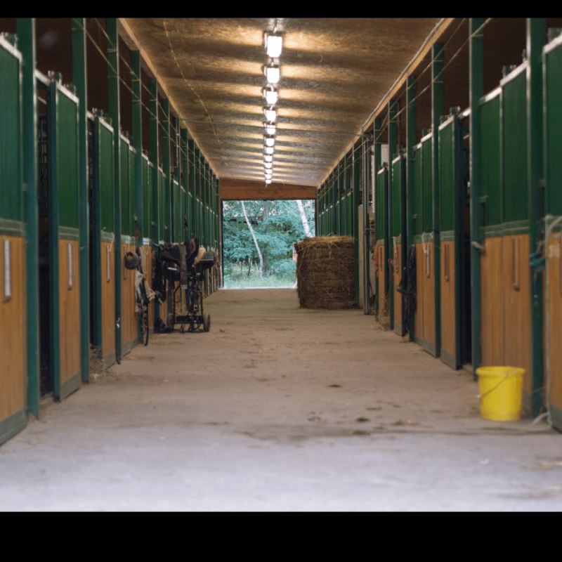 Barns and stalls like this single aisle barn house horses that need enrichment.