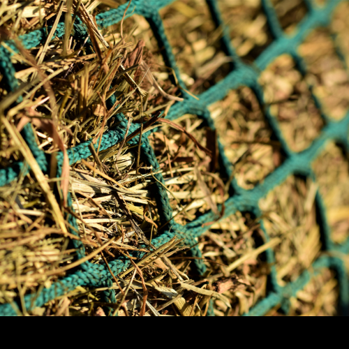 Close up of slow feed hay net.
