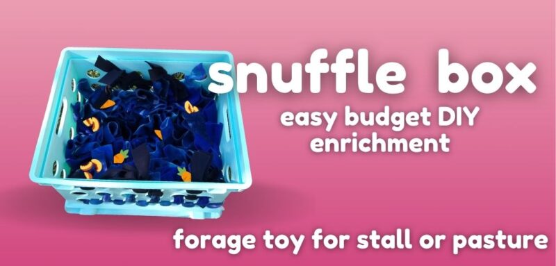 Pink background. Light blue plastic box with dark blue fabric inside and treats in fabric. White text reads Snuffle Box Easy Budget DIY enrichment. Forage toy for stall or pasture.