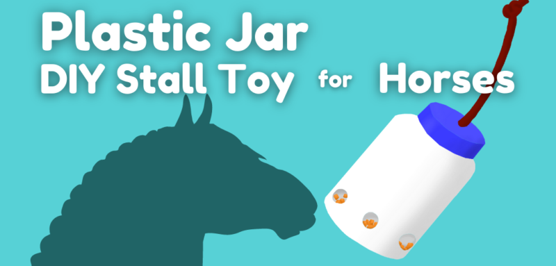 Text on teal background. Dark teal silhouette of horse face pushes white plastic can feeder. Text reads Plastic Jar DIY Stall Toy for Horses