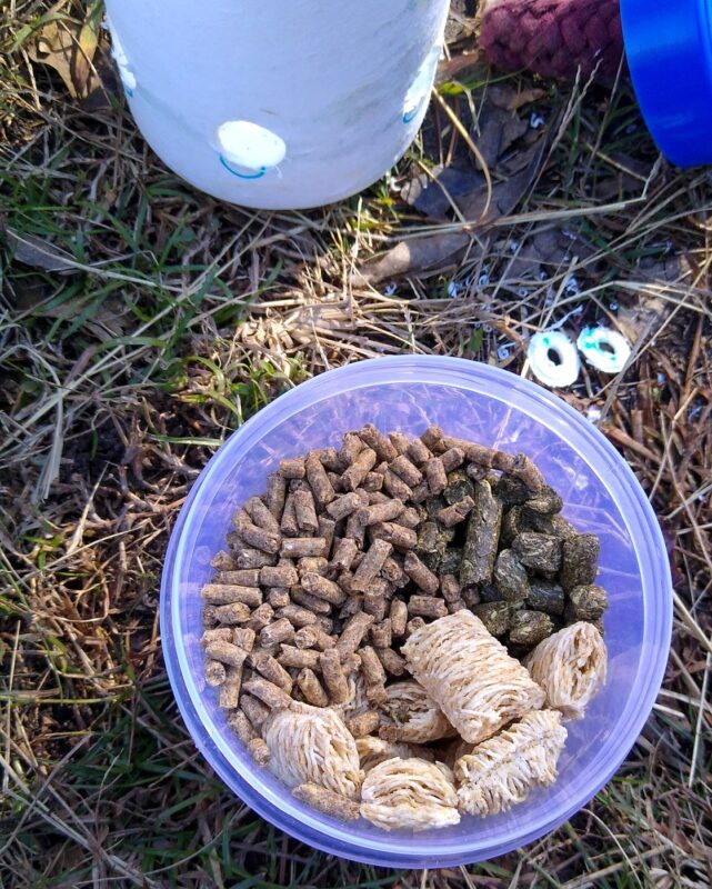A cup of horse treats including pelleted feed, hay pellets, and Shredded Wheat biscuits.