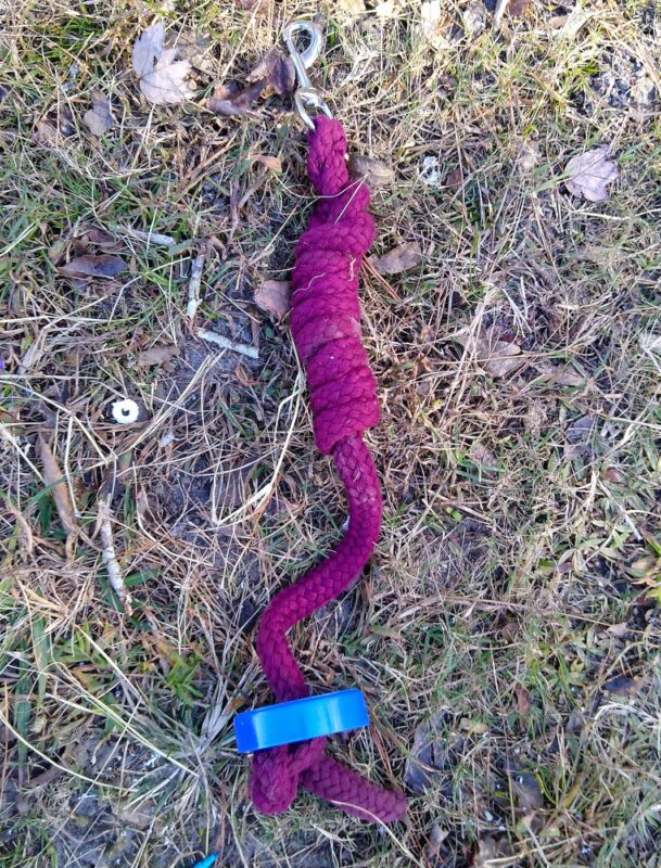 A maroon cotton lead rope with the end passed through a hole in a blue jar lid.